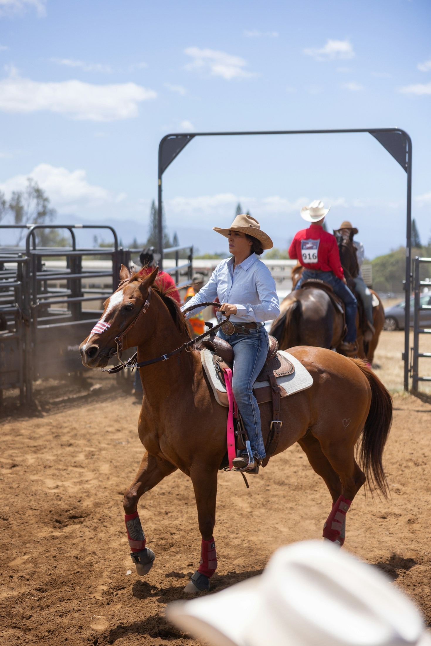 Top Equestrian Events to Watch This Year