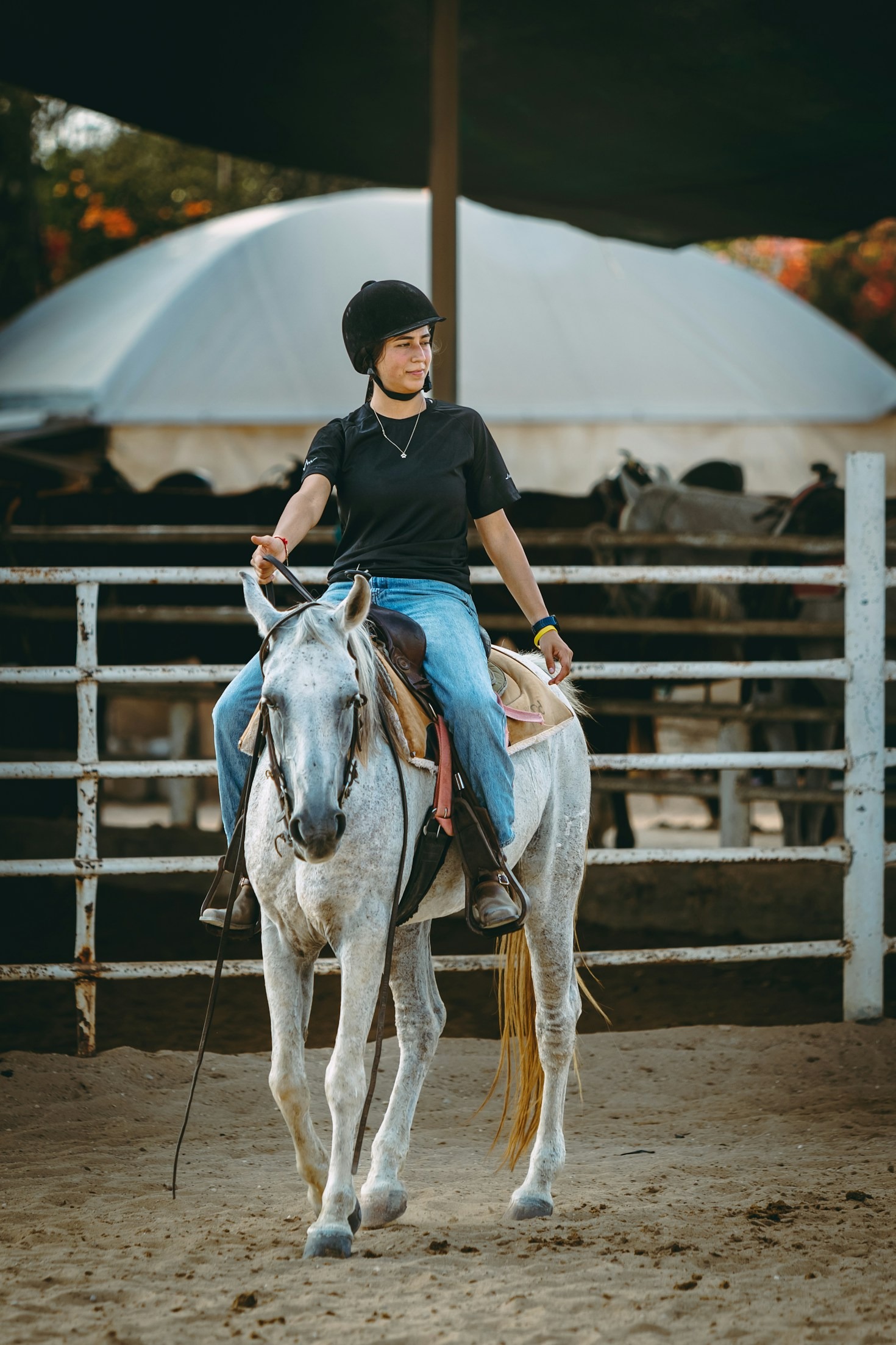 Tips for Navigating Horse Show Schedules