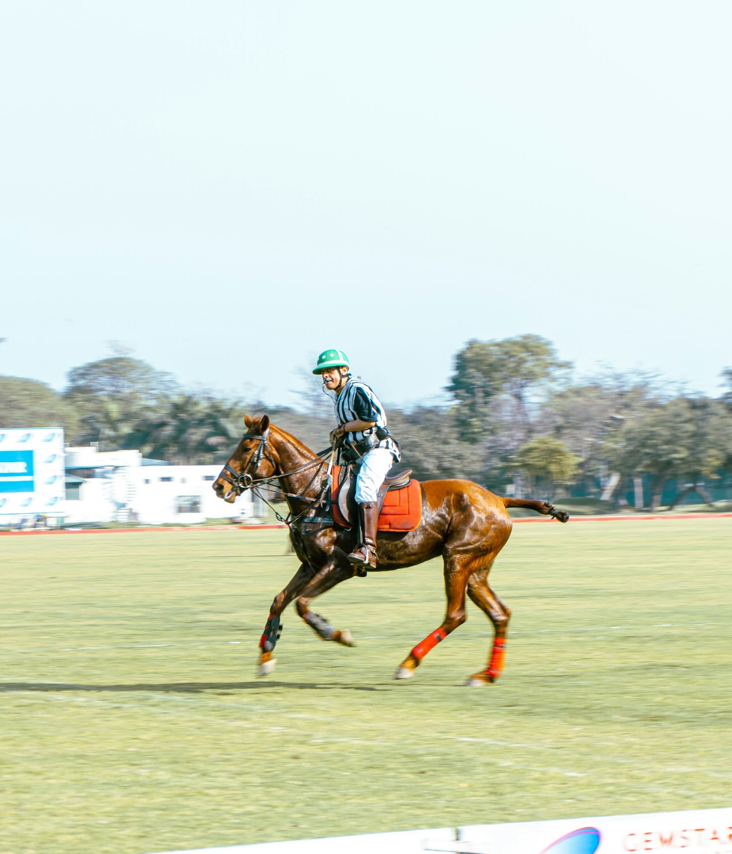 Emerging Trends in Global Equestrian Sports